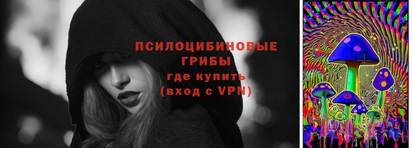 бошки Арсеньев