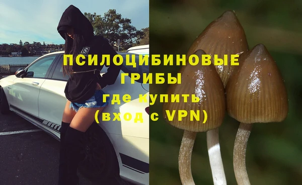 твердый Аркадак