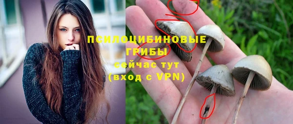 твердый Аркадак