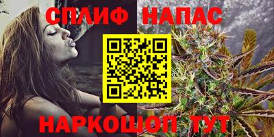 гашик Жуковский