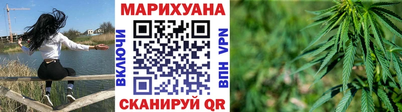 где купить   Лениногорск  Конопля Amnesia 